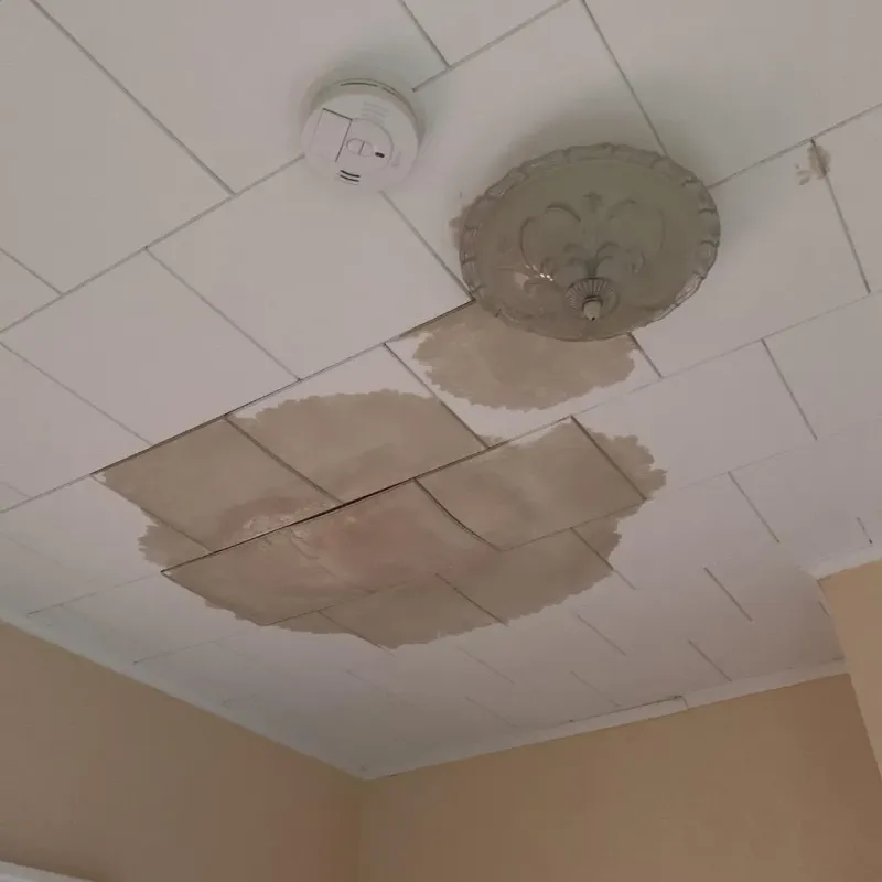 Ceiling Water Damage Repair in Camden County, GA